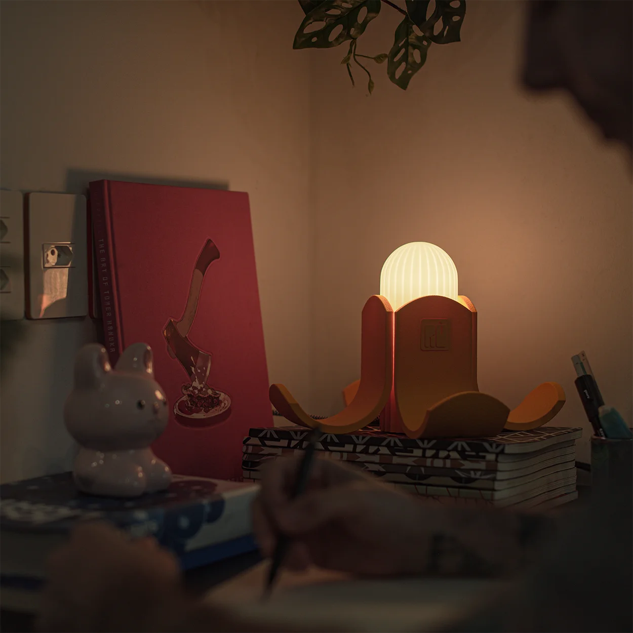 luminaria banana romulo temigue ambiente 13