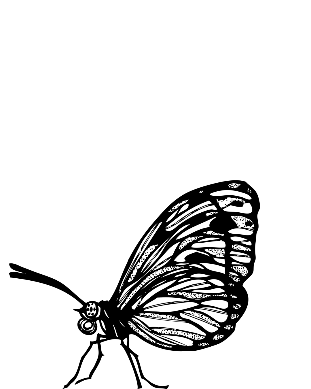 Ilustração Borboleta