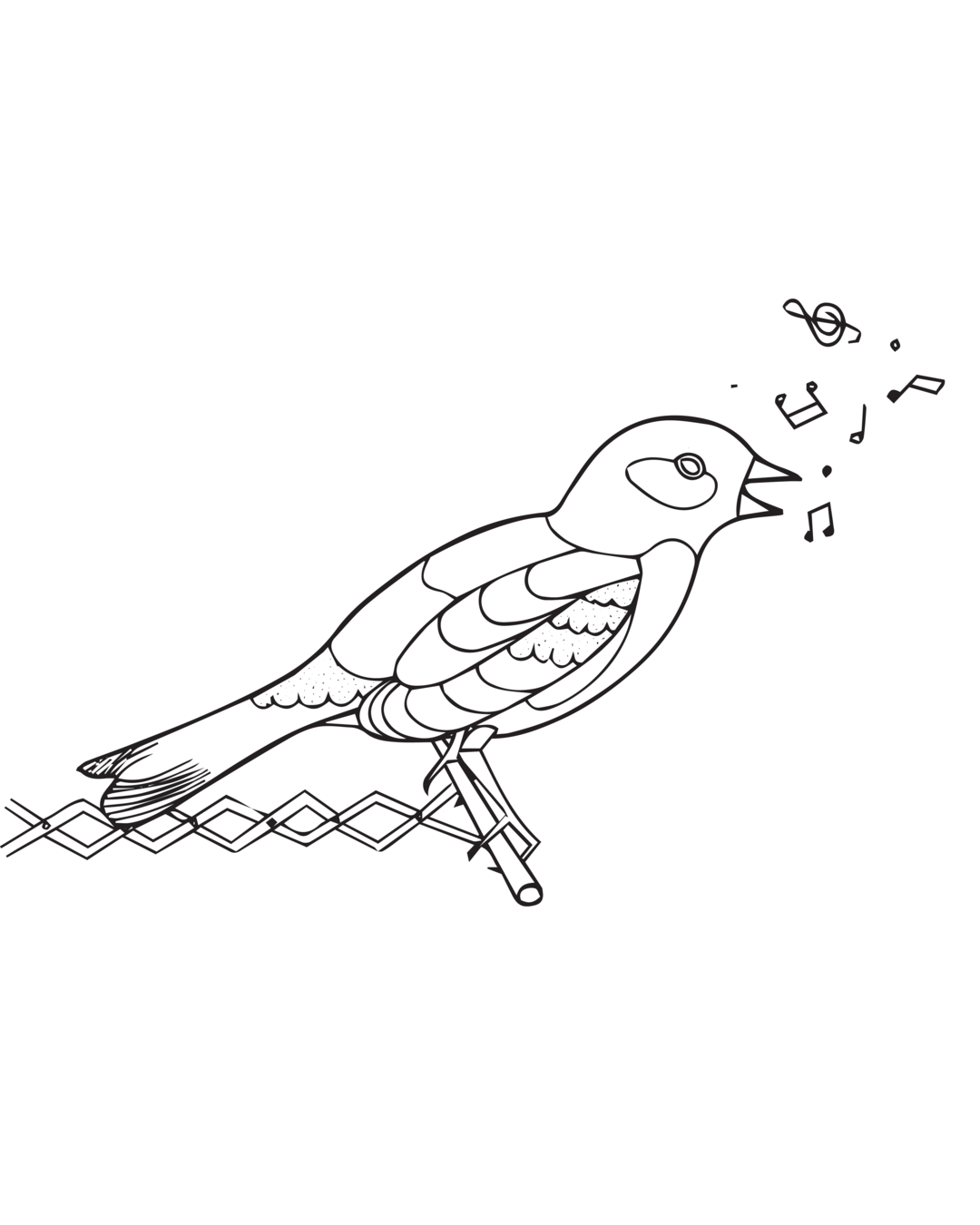 Ilustração Cuco