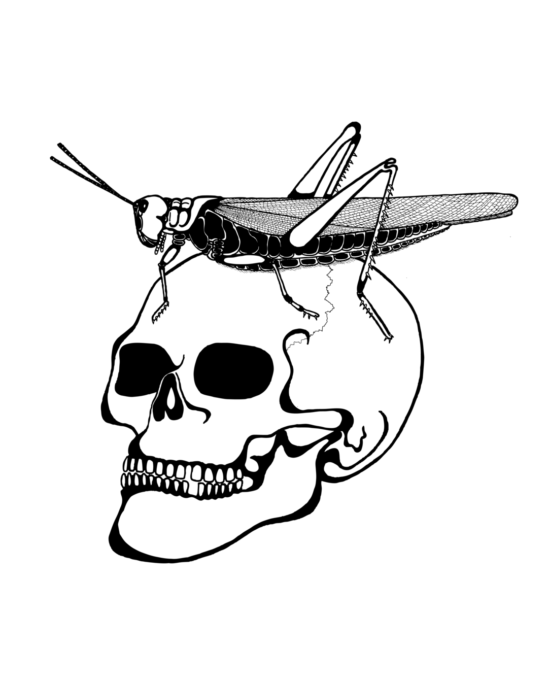 Ilustração Life and Death